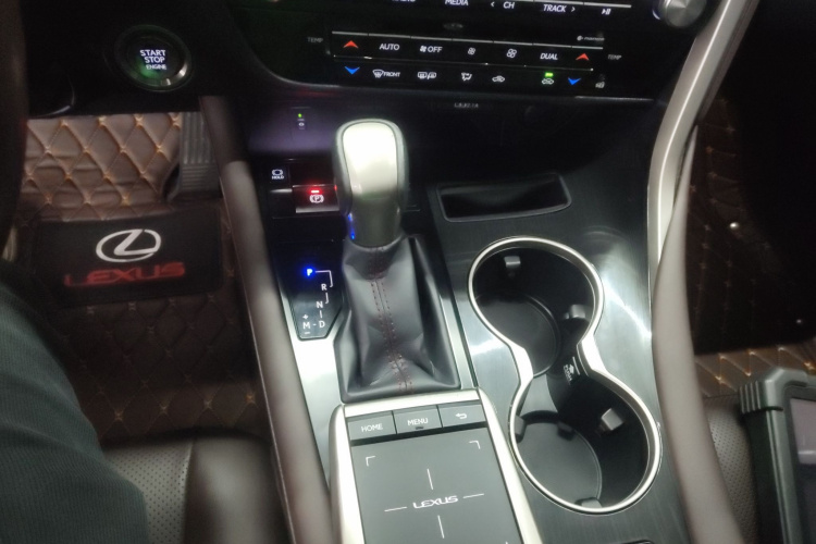 雷克萨斯RX 2020款 改款 300 四驱典雅版局部细节18