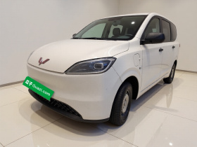 五菱汽车 五菱宏光新能源 2024款 纯电版 300KM 实用型