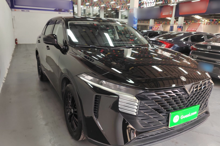 启辰大V 2022款 260T 黑马版·爱豆车身外观3