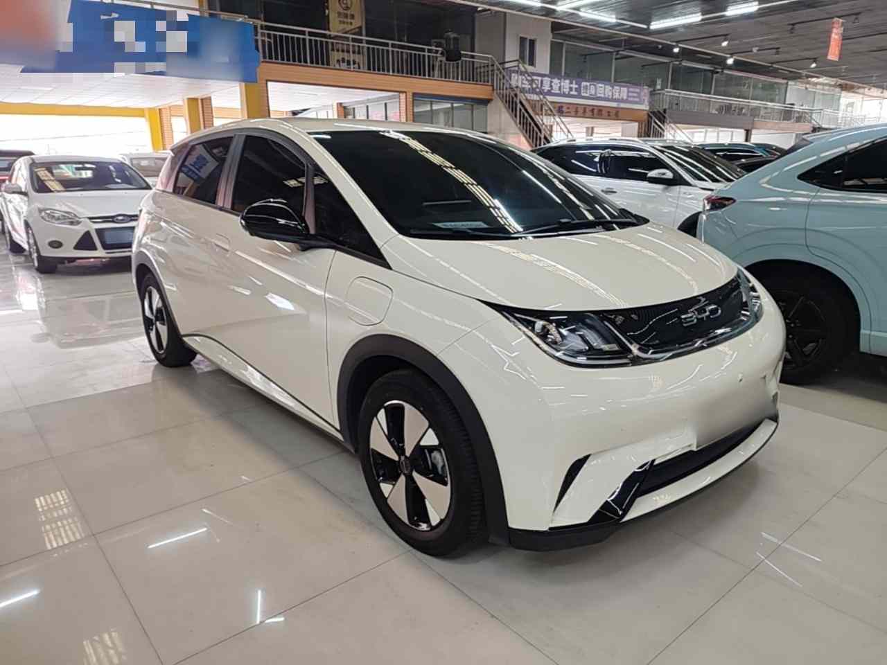 比亚迪 海豚 2023款 420km 自由版(5)