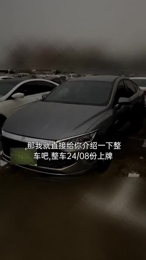 比亚迪 秦PLUS 2024款 荣耀版 DM-i 55KM领先型讲解2