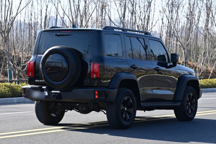 坦克300 2024款 2.0T 征服者车身外观6002