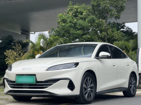 比亚迪 海豹06新能源 2024款 DM-i 120KM尊荣型