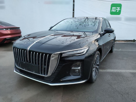 红旗H5 2024款 2.0T 自动智联旗畅版