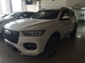 哈弗H6 2021款 1.5T 自动冠军版