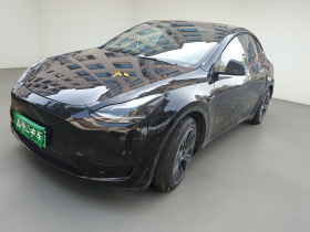 特斯拉 Model Y 2022款 后轮驱动版