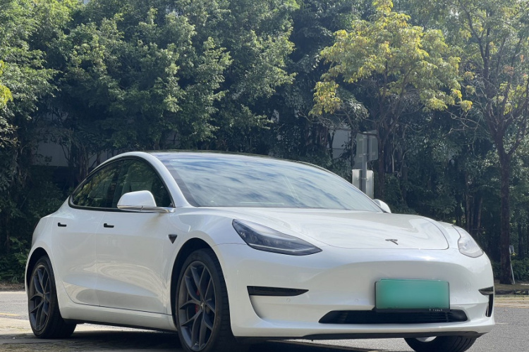 特斯拉 Model 3 2020款 改款 标准续航后驱升级版车身外观6002