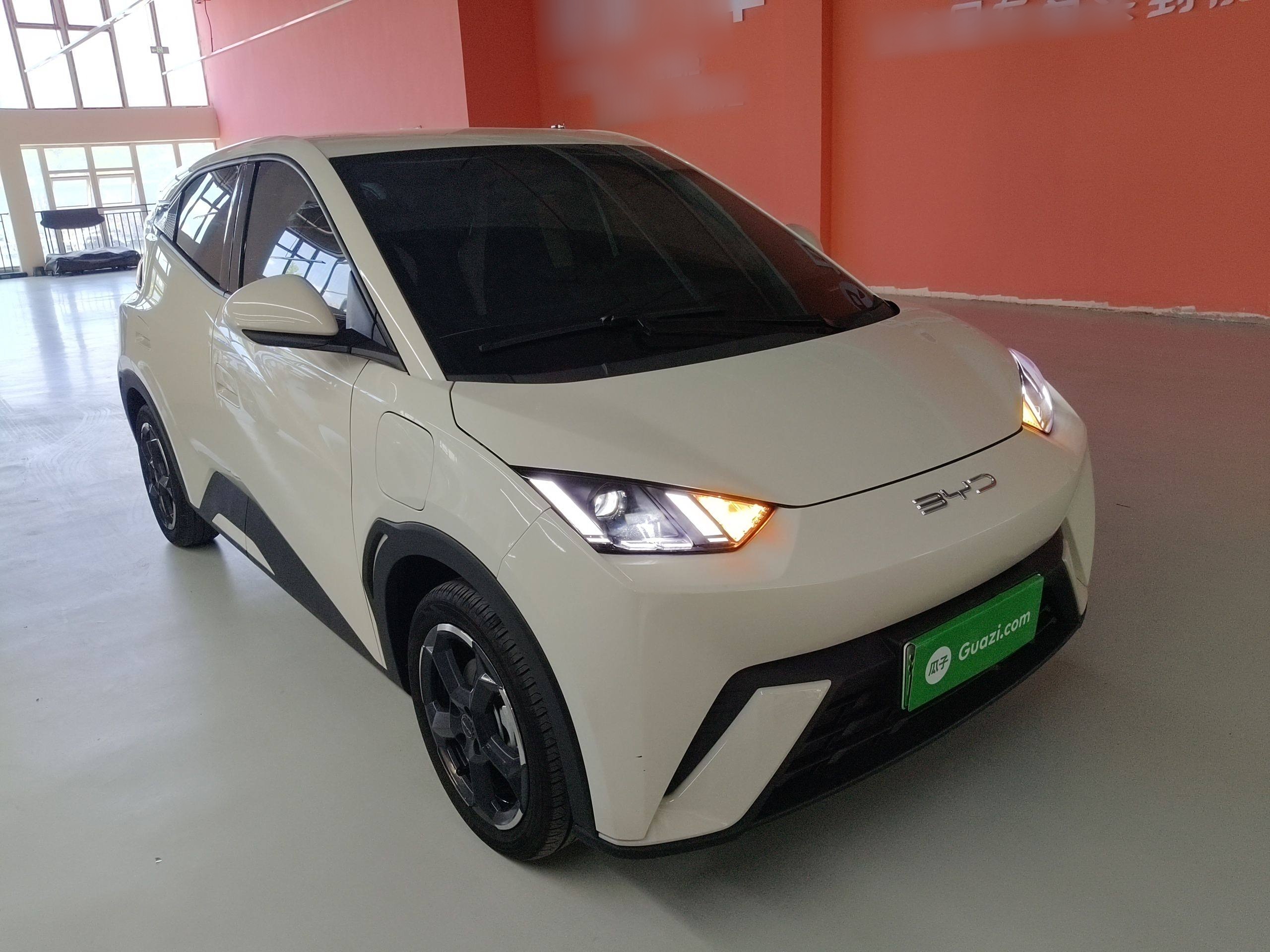 比亚迪 海鸥 2023款 自由版