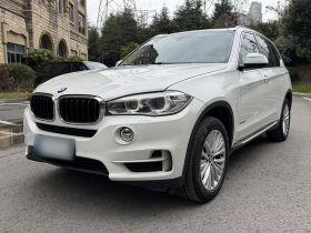 宝马X5(进口) 2014款 xDrive35i 领先型