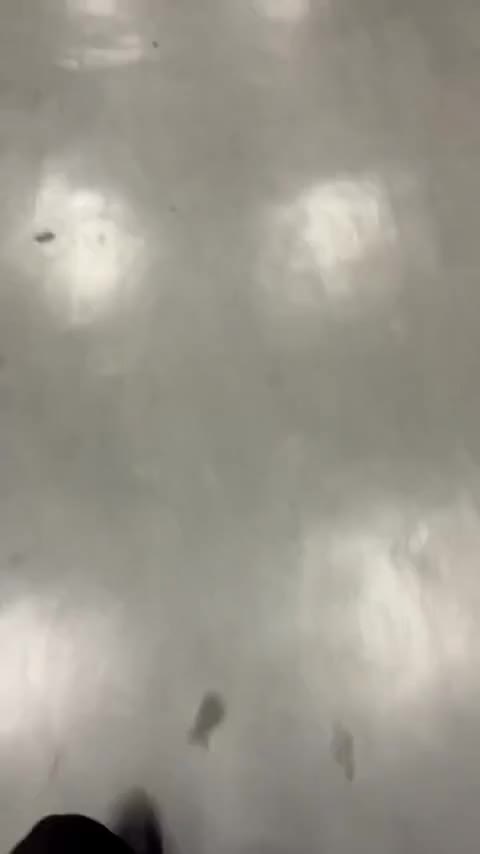 比亚迪 宋PLUS新能源 2025款 EV 智驾版 520km 尊贵型讲解2