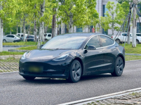 特斯拉 Model 3 2020款 标准续航后驱升级版