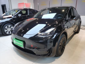 特斯拉 Model Y 2022款 后轮驱动版