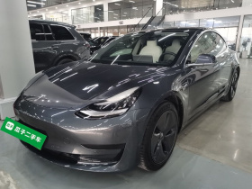 特斯拉 Model 3 2020款 标准续航后驱升级版