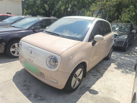 欧拉黑猫 2021款 301km 萌宠版