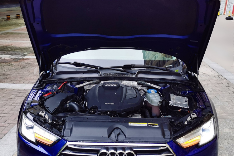 奥迪A4L 2017款 Plus 40 TFSI 进取型局部细节24