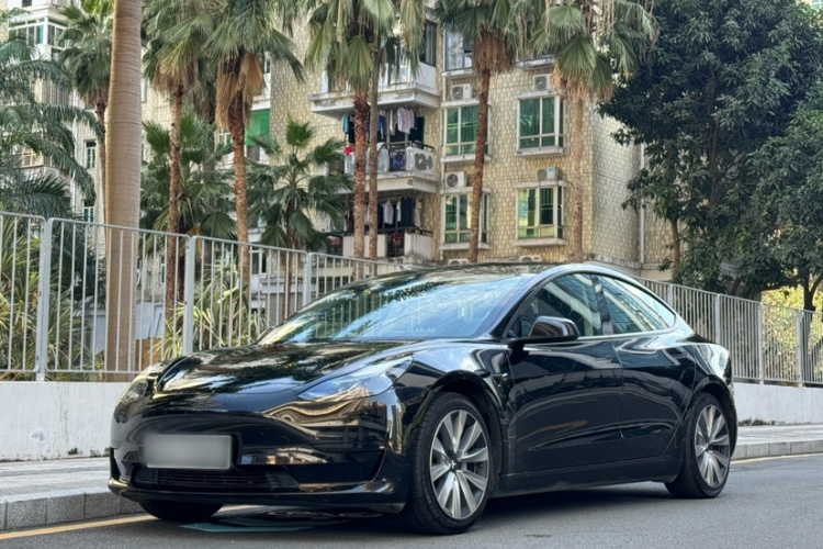 特斯拉 Model 3 2021款 标准续航后驱升级版车身外观6008