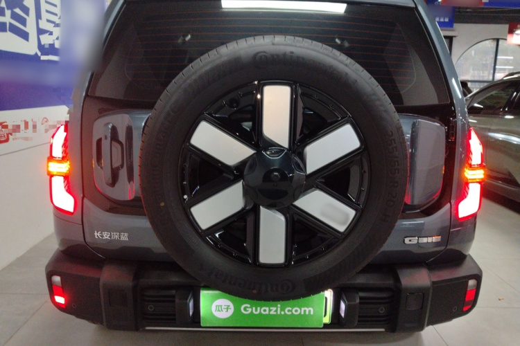 深蓝汽车 深蓝G318 2024款 两驱空悬版车身外观6