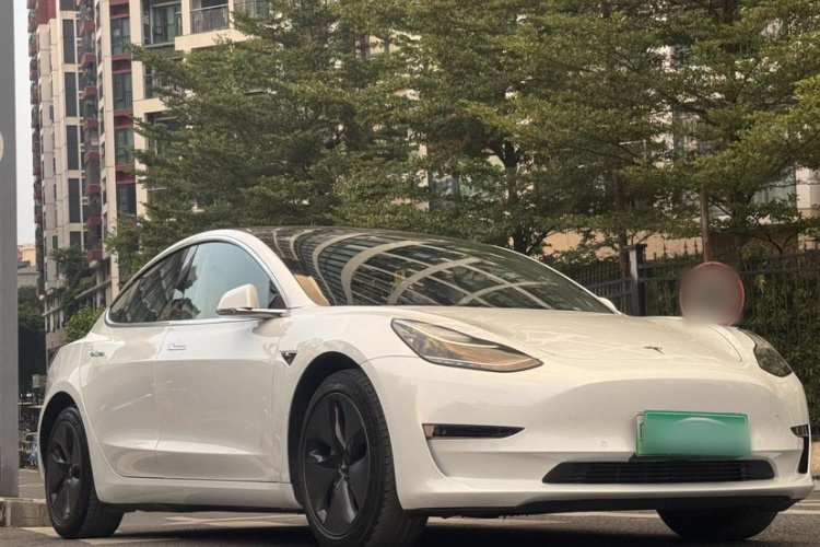 特斯拉 Model 3(进口) 2019款 长续航后驱版车身外观6002