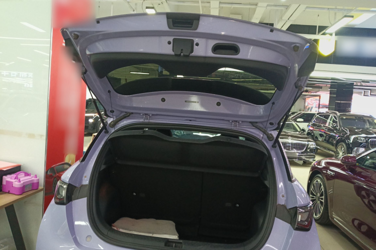 比亚迪 海豚 2023款 420km 时尚版机舱底盘23