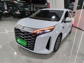 比亚迪 夏 2025款 DM-i 1.5T 180km 卓越型