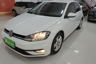 大众 高尔夫 2018款 1.6L 自动时尚型