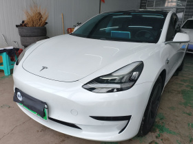 特斯拉 Model 3 2019款 标准续航后驱升级版