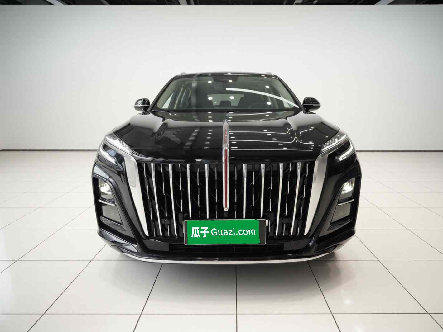 红旗HS3 PHEV 2024款 115km 劲为版(1)