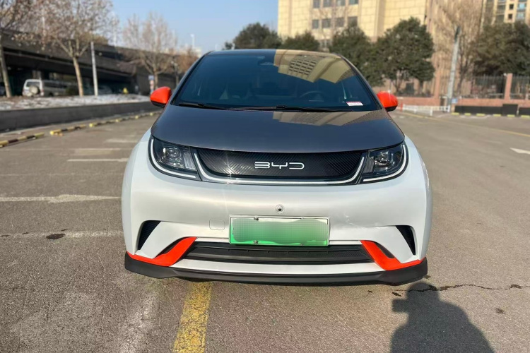 比亚迪 海豚 2021款 401km 骑士版车身外观6001