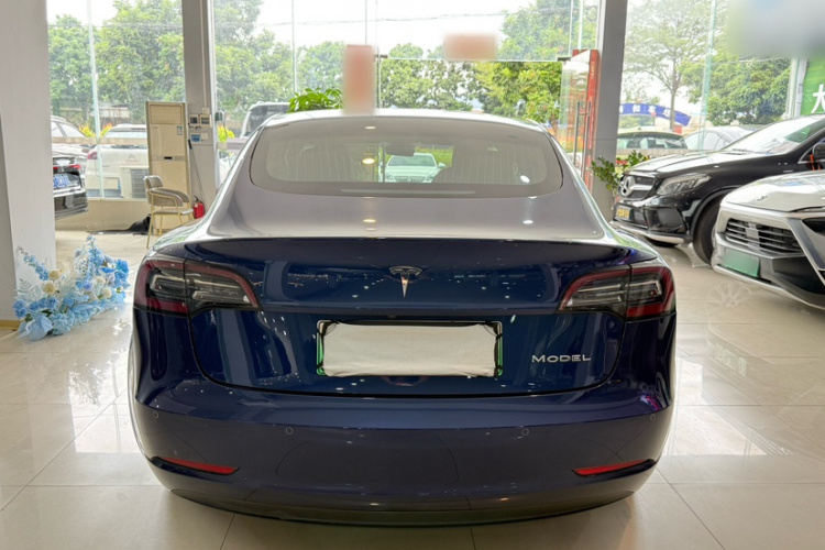特斯拉 Model 3 2019款 标准续航后驱升级版车身外观6007