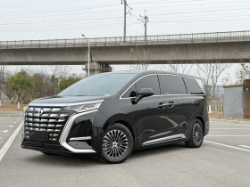 腾势D9 2024款 DM-i 980 四驱尊荣型