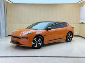 极氪001 2023款 WE版 100kWh