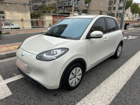 五菱汽车 五菱缤果 2023款 203km 轻享款