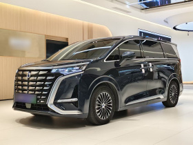 腾势D9 2024款 DM-i 980 四驱旗舰型