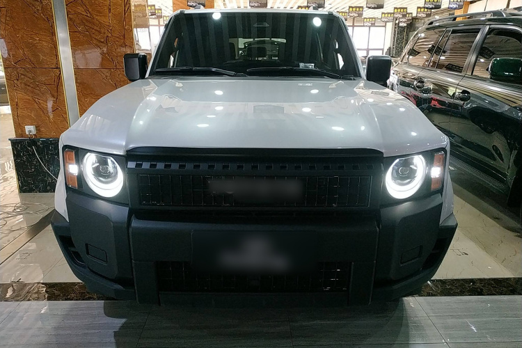 丰田 普拉多 2025款 2.4T 穿越BX版 5座车身外观2