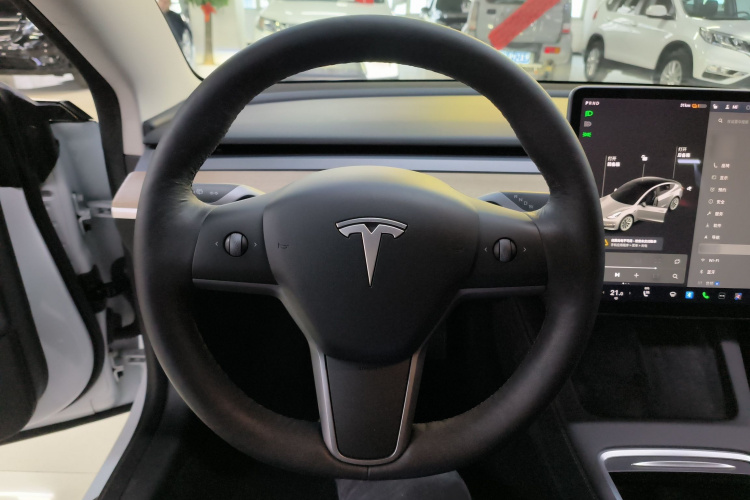 特斯拉 Model 3 2021款 标准续航后驱升级版局部细节13