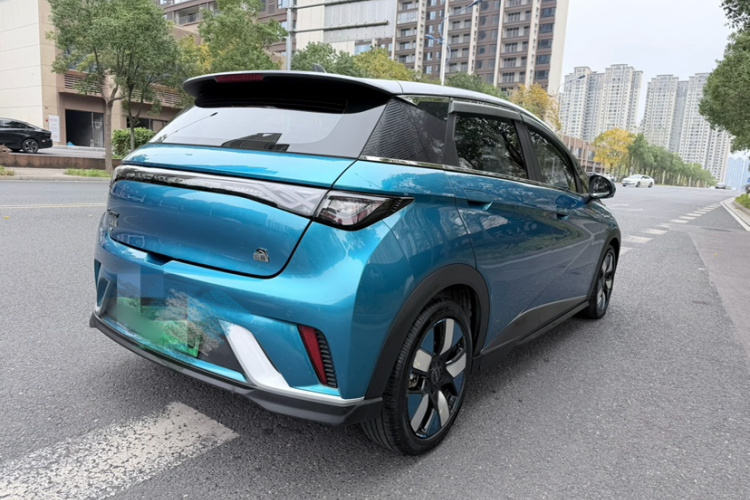 比亚迪 海豚 2021款 401km 骑士版车身外观6002