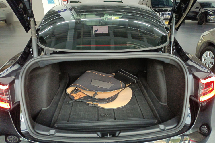 特斯拉 Model 3 2021款 标准续航后驱升级版 3D6局部细节23