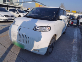 欧拉白猫 2020款 360km 豪华型