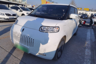 欧拉白猫 2020款 360km 豪华型