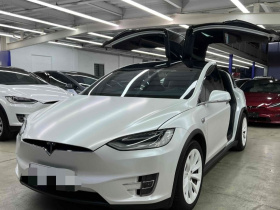 特斯拉 Model X 2019款 长续航版