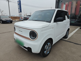 吉利银河 2024款 熊猫mini 200km 耐力熊