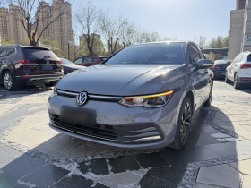 大众 高尔夫 2023款 280TSI DSG Pro