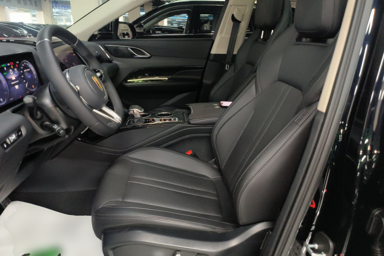 红旗HS3 PHEV 2024款 PHEV 115km 劲为版中控内饰19