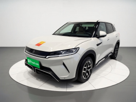 比亚迪 元UP 2024款  401KM 活力版