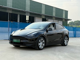 特斯拉 Model Y 2021款 标准续航后驱版