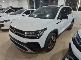 大众 途岳 2024款 300TSI 两驱月尊版