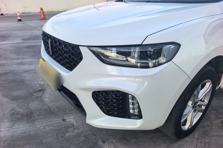 魏牌 VV5 2019款 1.5T 两驱颜先锋车身外观6011