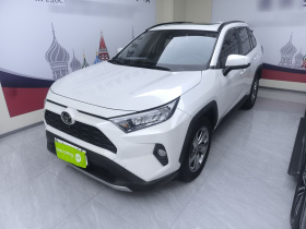 丰田 RAV4荣放 2020款 2.0L CVT两驱风尚PLUS版
