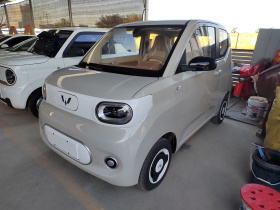 五菱汽车 宏光MINIEV 2024款 第三代 215km 青春版