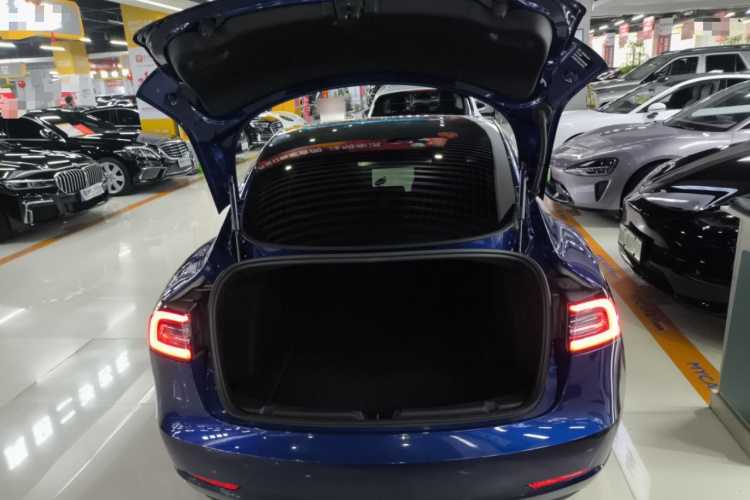 特斯拉 Model 3 2020款 改款 标准续航后驱升级版局部细节23